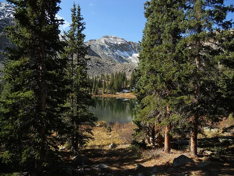 An image depicting the trail Lamphier Lake via South Lottis Trail and its surrounding area.