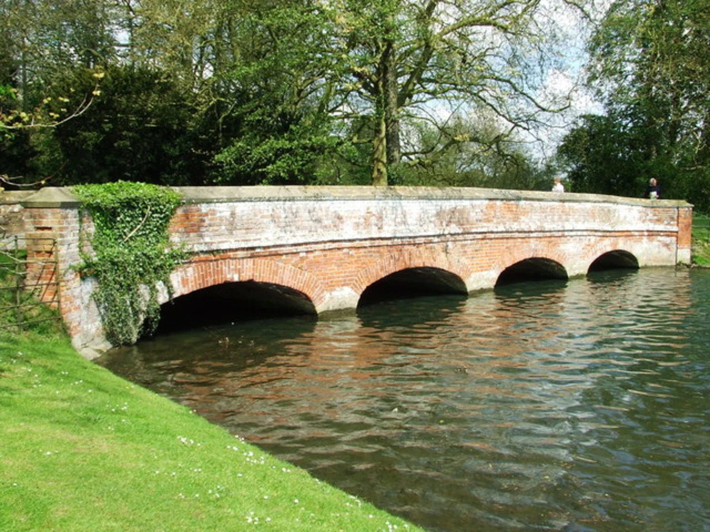 An image depicting the trail Audley End Estate and Whitewell Wood Loop and its surrounding area.