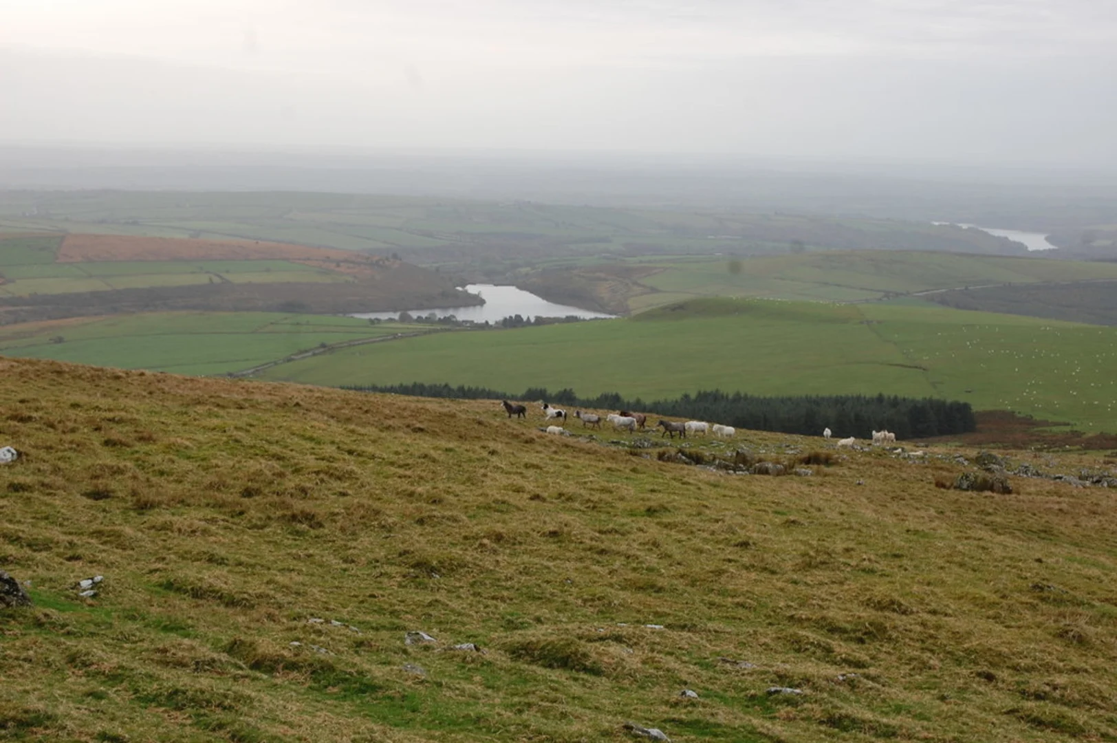 An image depicting the trail Foel Eryr and its surrounding area.
