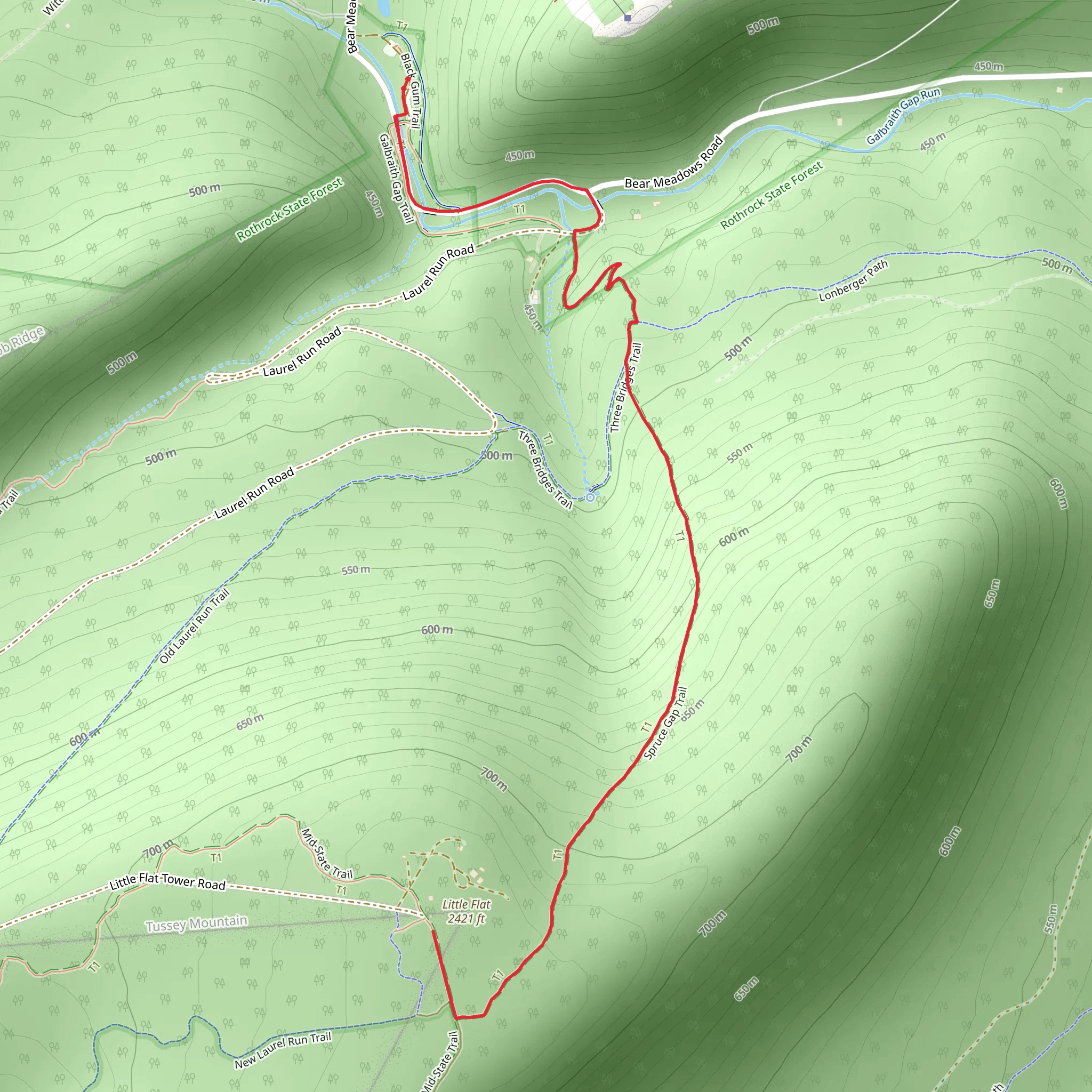 Little Flat Summit Trail from Galbraith Gap mobile static map