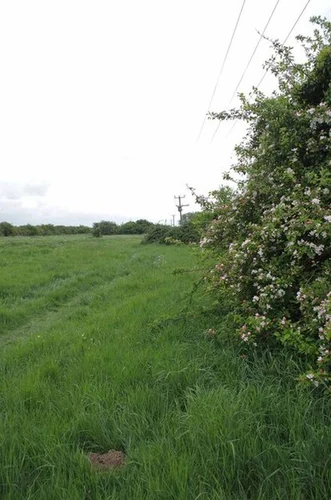 Wakering Common and Wakering Stairs Loop