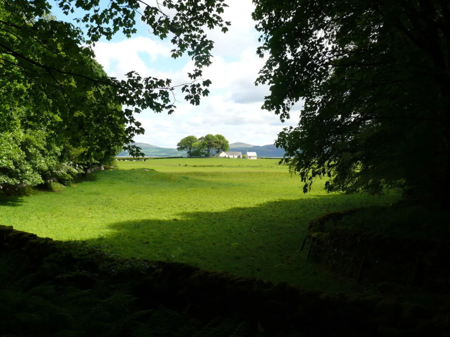 An image depicting the trail Woodpecker Loop Trail and its surrounding area.