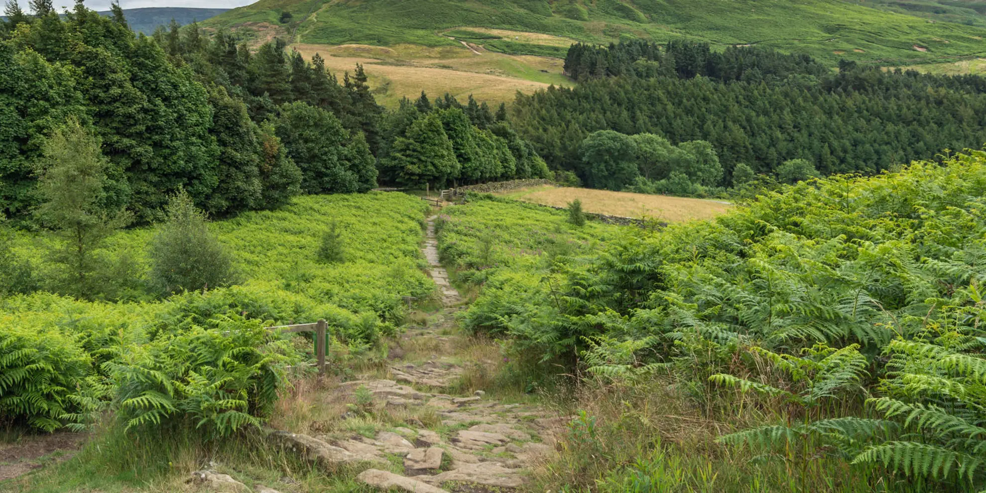 An image depicting the trail Shepherd's Loop in North Yorkshire and its surrounding area.