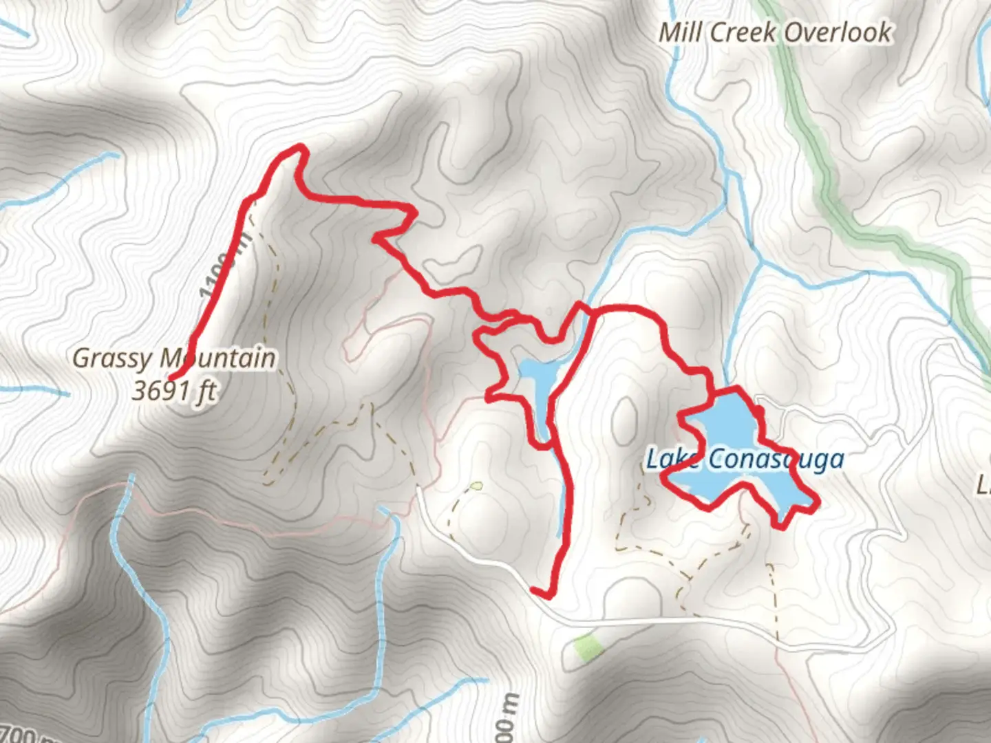 An image depicting the trail Lake Conasauga, Grassy Mountain and Beaver Pond Loop and its surrounding area.