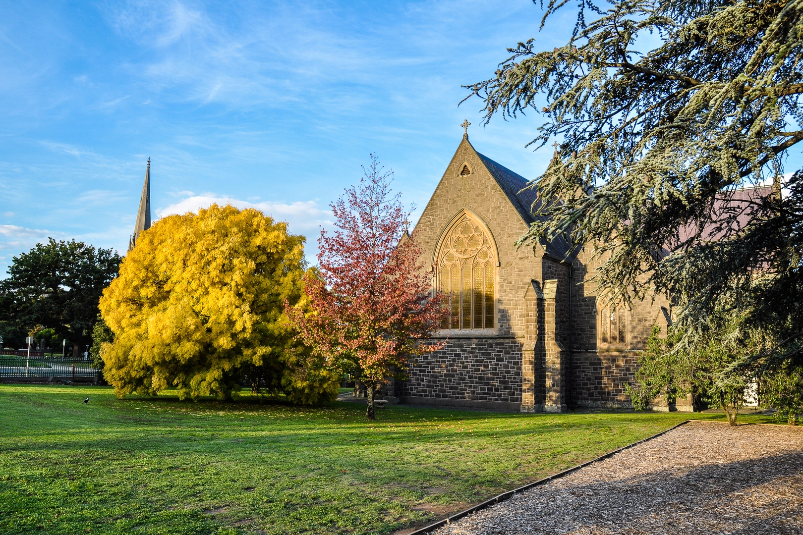An image depicting the trail The Wallaby Track and its surrounding area.
