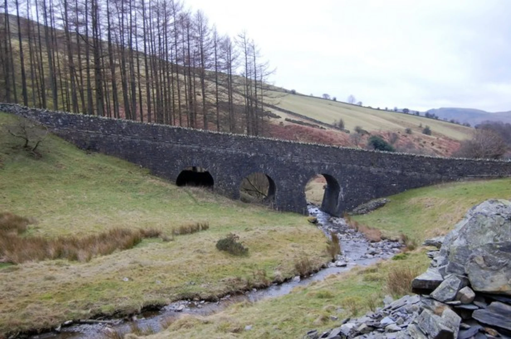 An image depicting the trail Whit Beck Loop and its surrounding area.