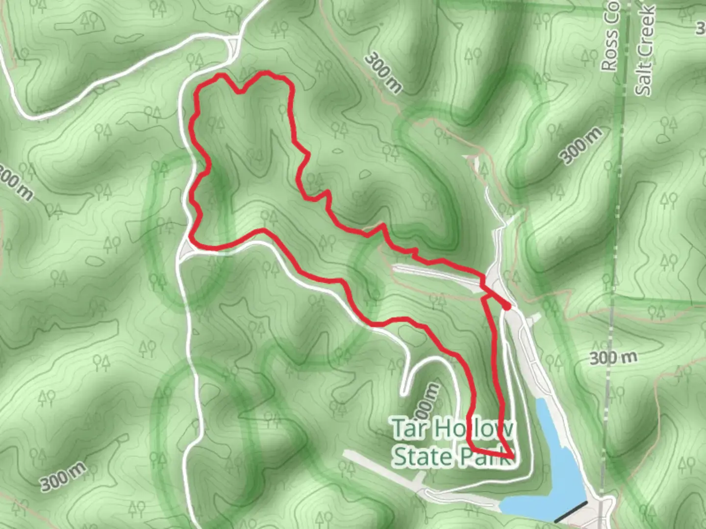 An image depicting the trail Ross Hollow Loop and its surrounding area.