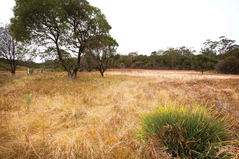 An image depicting the trail Slingsbys Trail and Syndicate Ridge Track and its surrounding area.