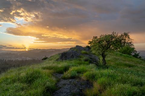 An image depicting the trail George Cardinet Back Creek Trail and Donner Canyon Road Loop and its surrounding area.