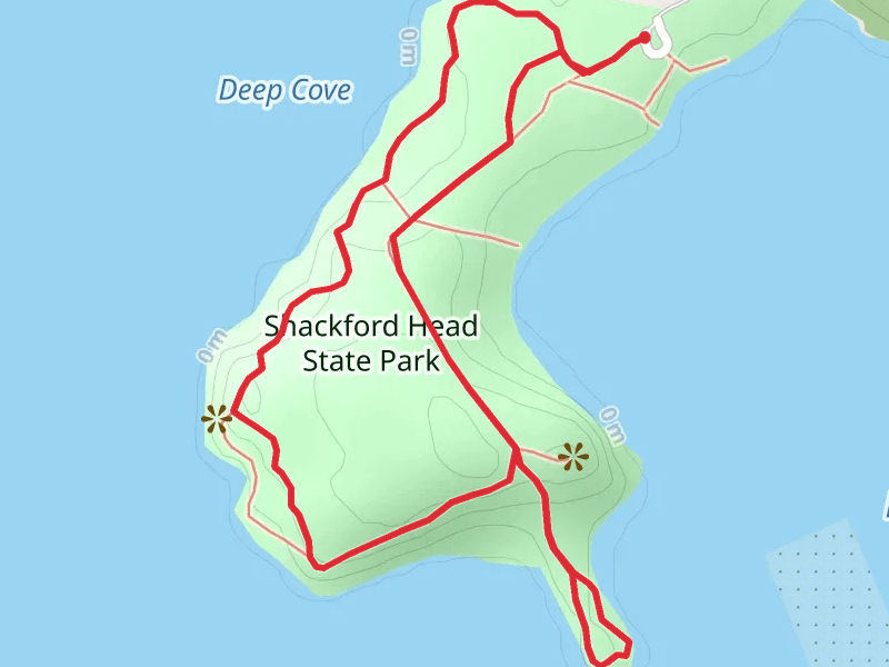 Shackford Head Trail Loop