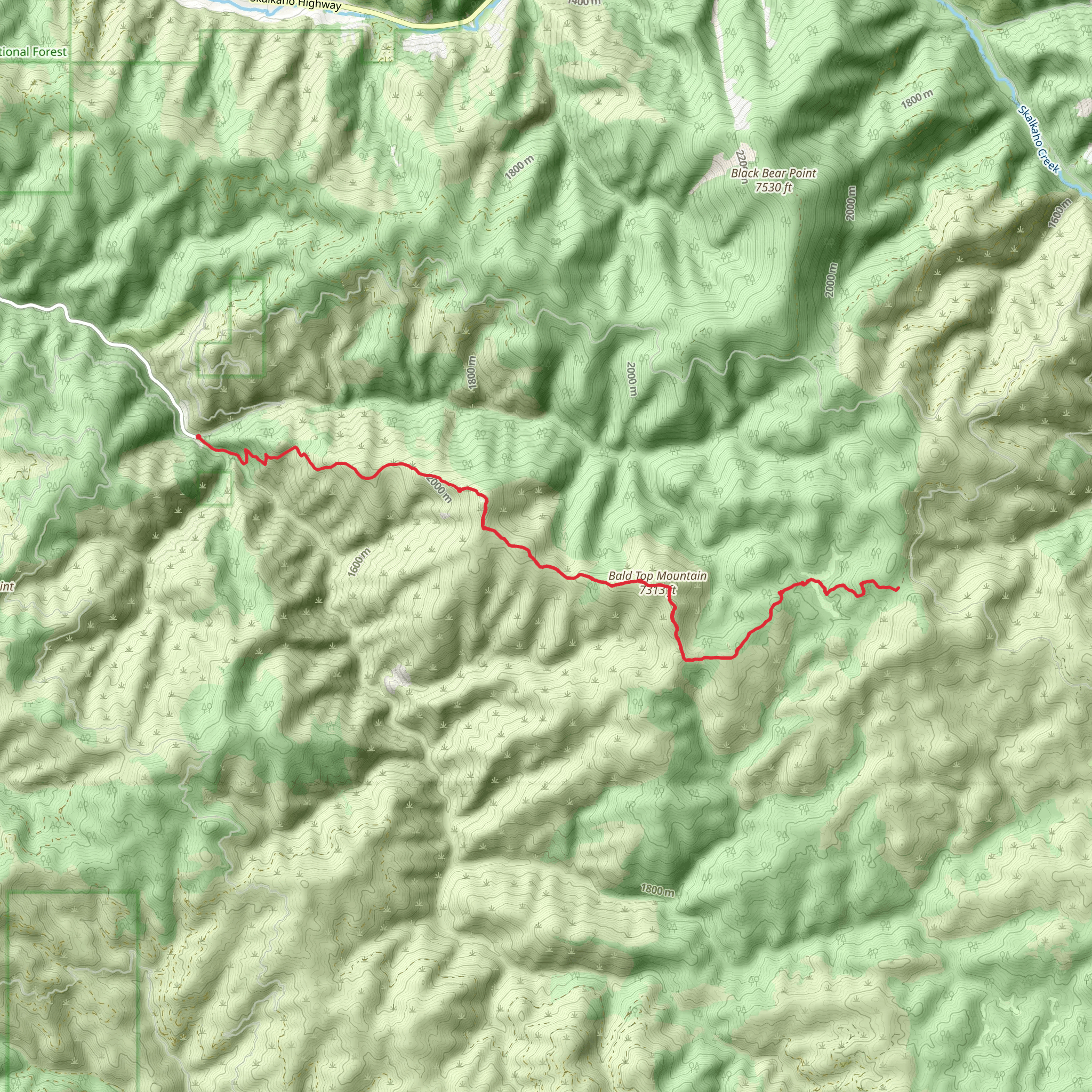 Bald Top Trail via Sleeping Child Trail mobile static map