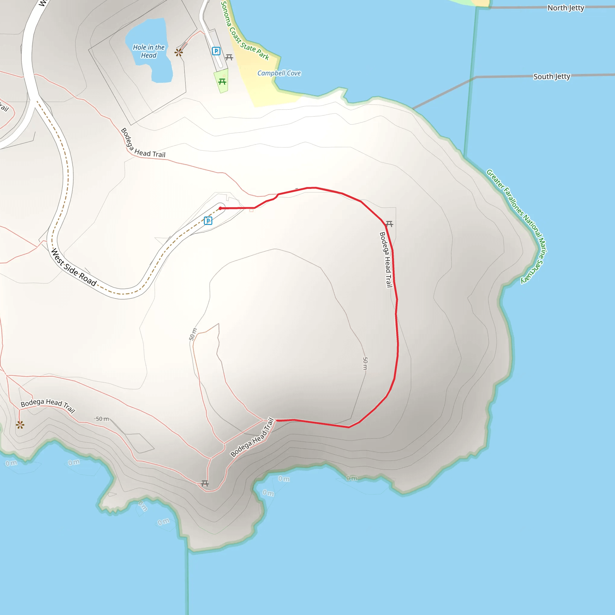 Bodega Head Short Trail mobile static map