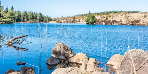 An image depicting the trail Bonny Glen Wood - Lough Namanlagh Trail and its surrounding area.