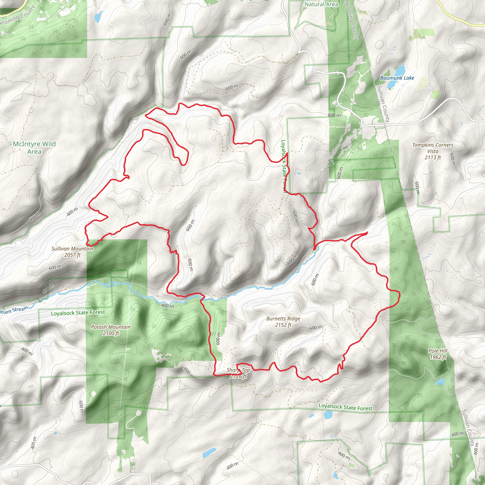 Old Loggers Path Loop Trail mobile static map
