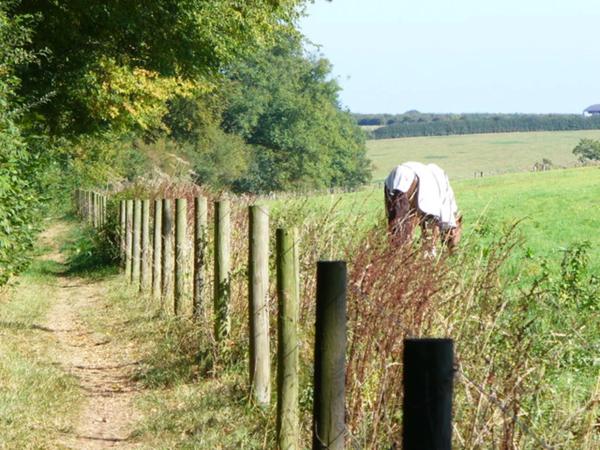Chipperfield Common and Woodmans Wood via Chess Valley Walk and Hertfordshire Way