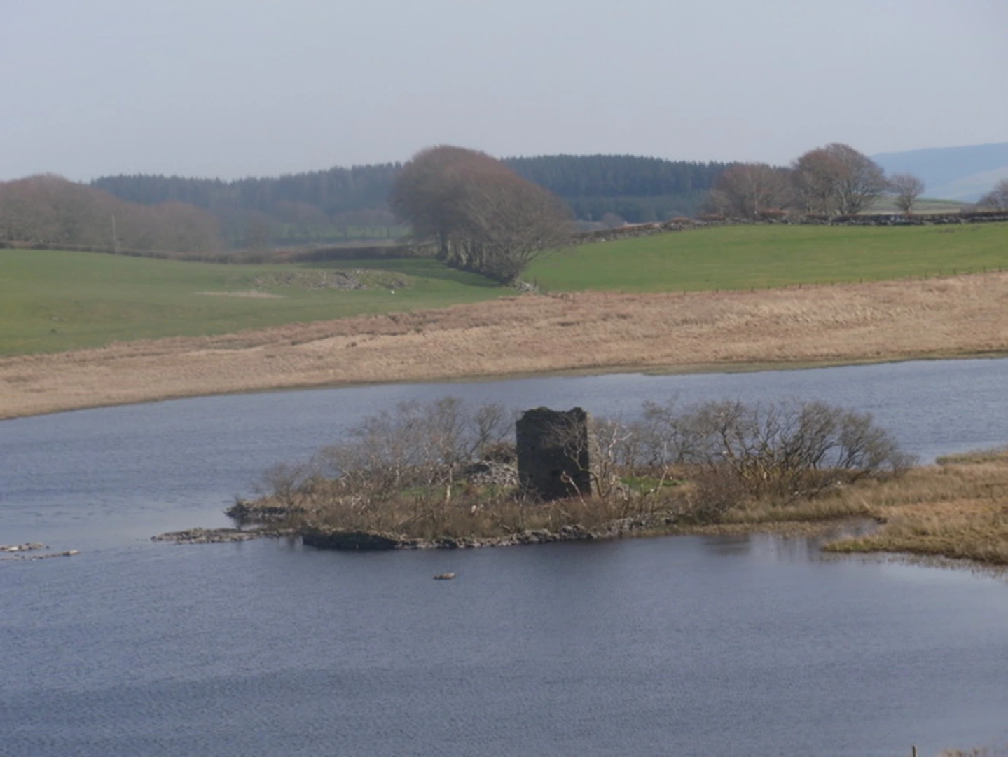 An image depicting the trail Pentre Bach Circular near Tregaron and its surrounding area.