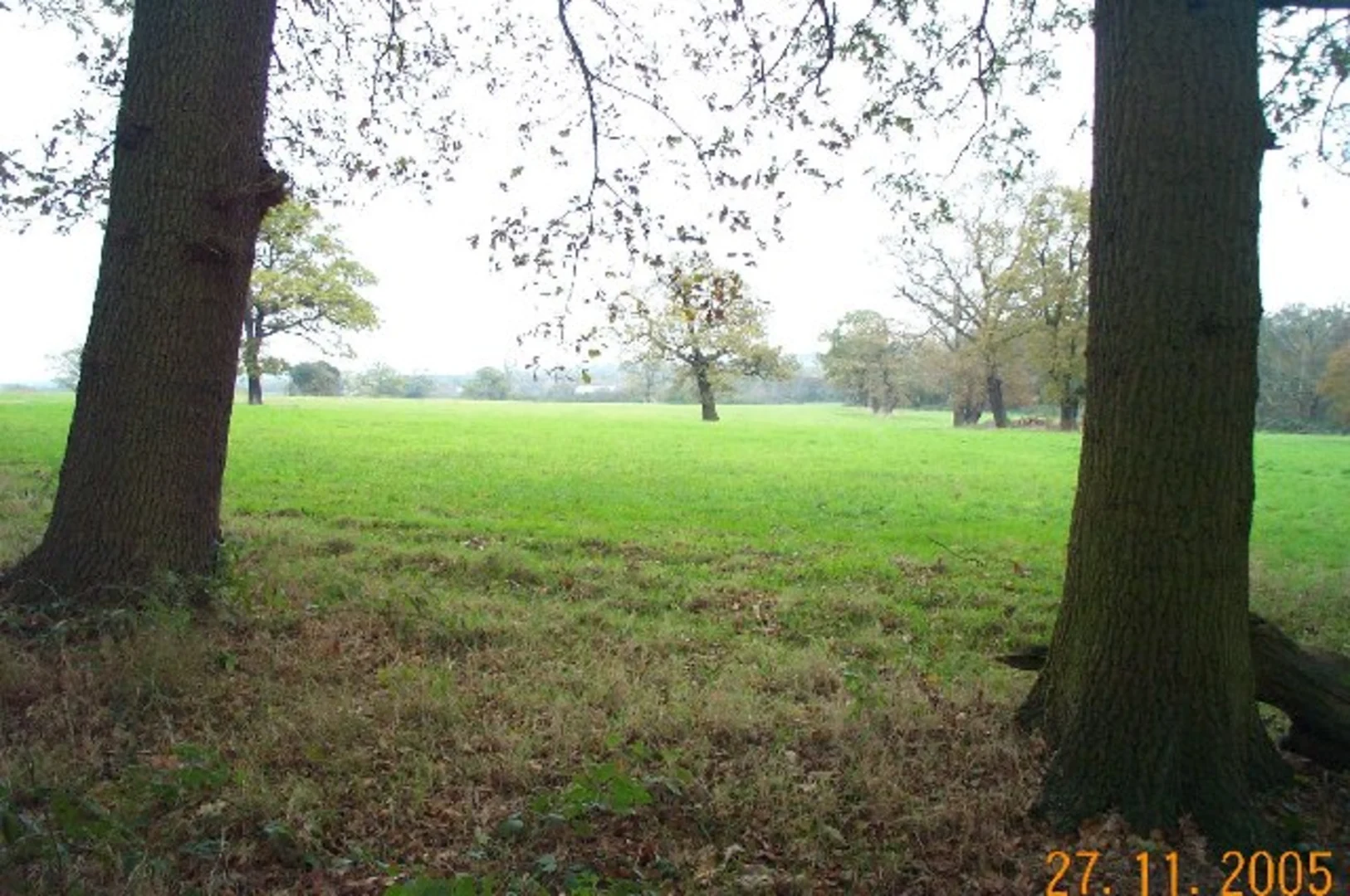 An image depicting the trail Stanmore Common Loop and its surrounding area.