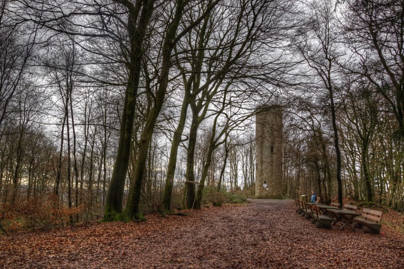 An image depicting the trail Wittekindsweg and its surrounding area.