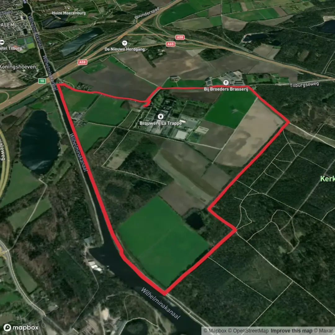 An image depicting the trail De Koningshoeven Loop and its surrounding area.