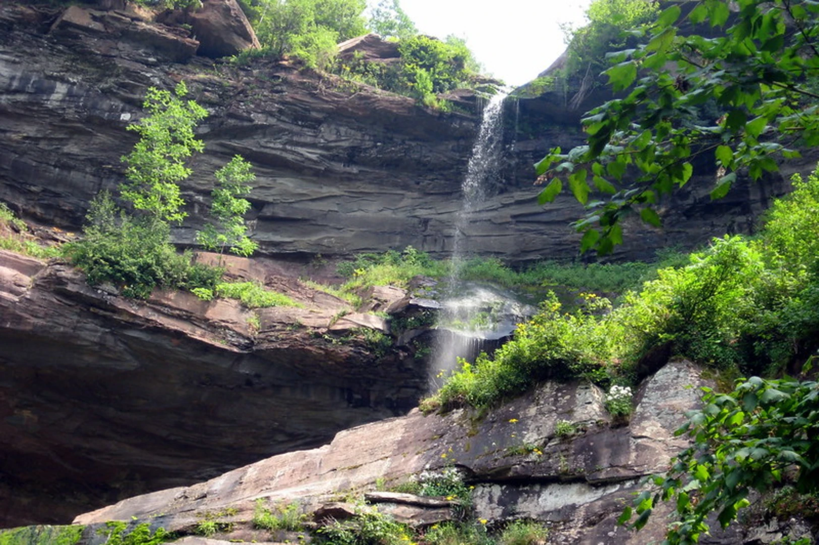 An image depicting the trail Kaaterskill Falls Trail and its surrounding area.