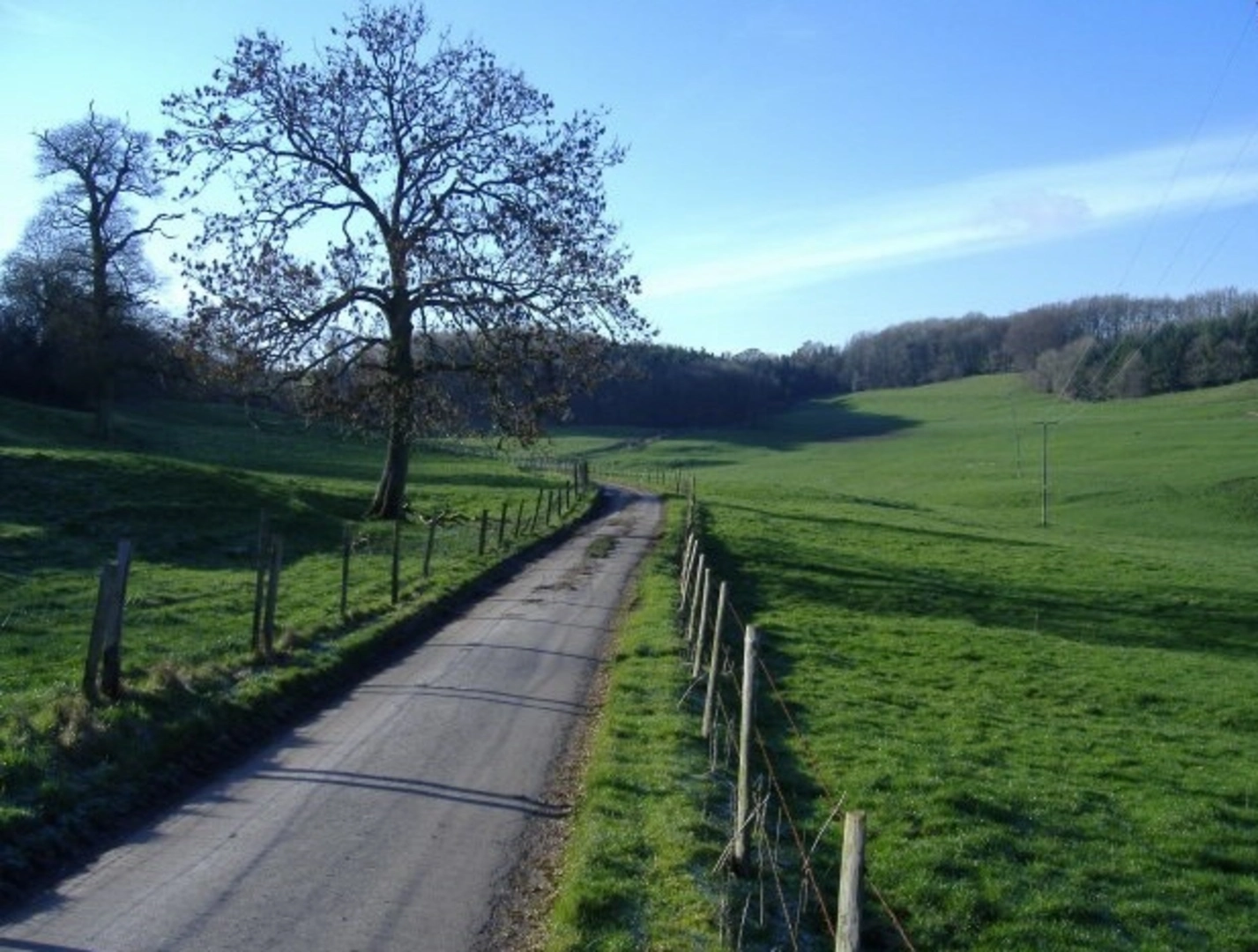 An image depicting the trail Kingscote via Lasborough Circular and its surrounding area.