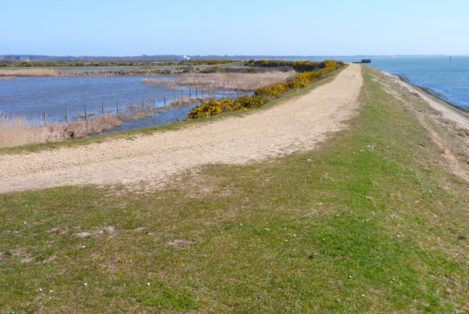 An image depicting the trail Chequers Green and Oxey Marsh Loop and its surrounding area.