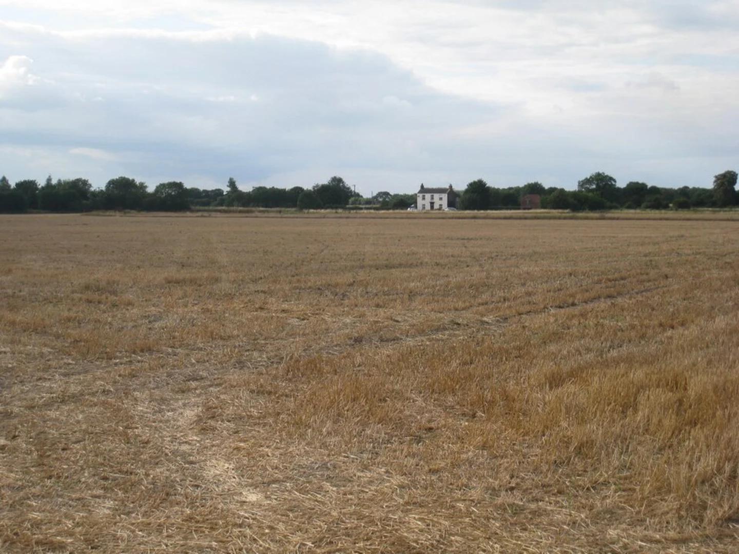 An image depicting the trail Epworth Loop and its surrounding area.