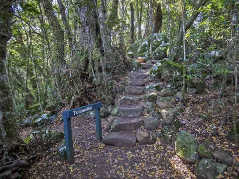 Daves Creek Circuit Track