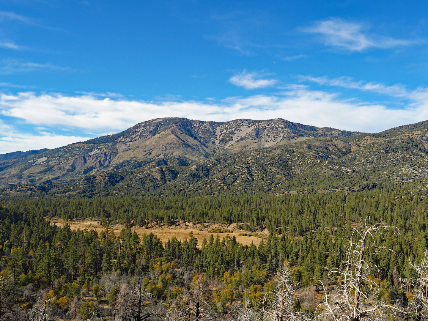 An image depicting the trail Bay Area Ridge Trail and its surrounding area.