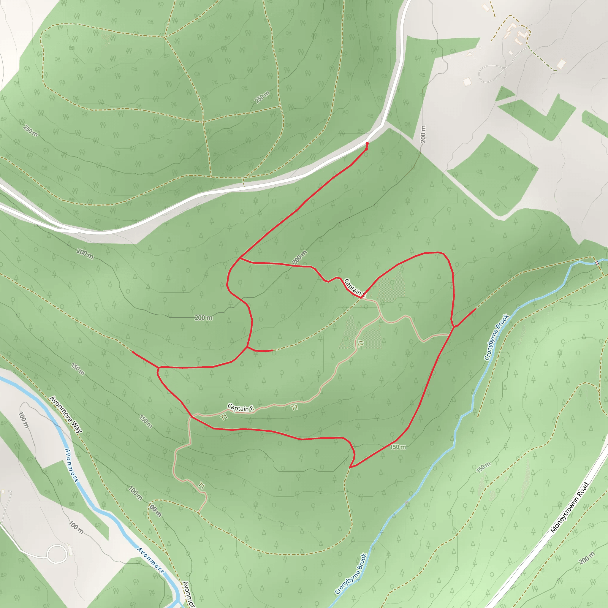 Croneybyrne Loop mobile static map