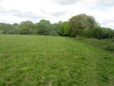 An image depicting the trail Wartling Wood Loop and its surrounding area.
