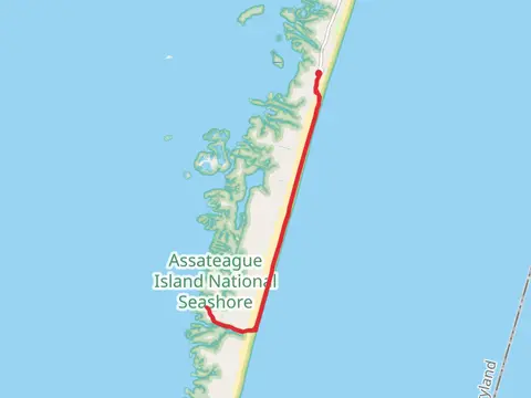 Pine Tree Campground Trail from Bayberry Road