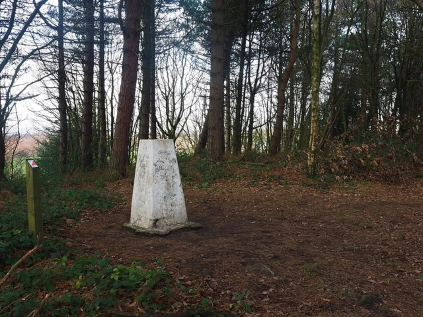 An image depicting the trail Greno Wood Short Loop and its surrounding area.