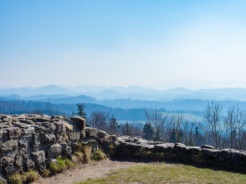 Kollbrunn to Elgg Trail