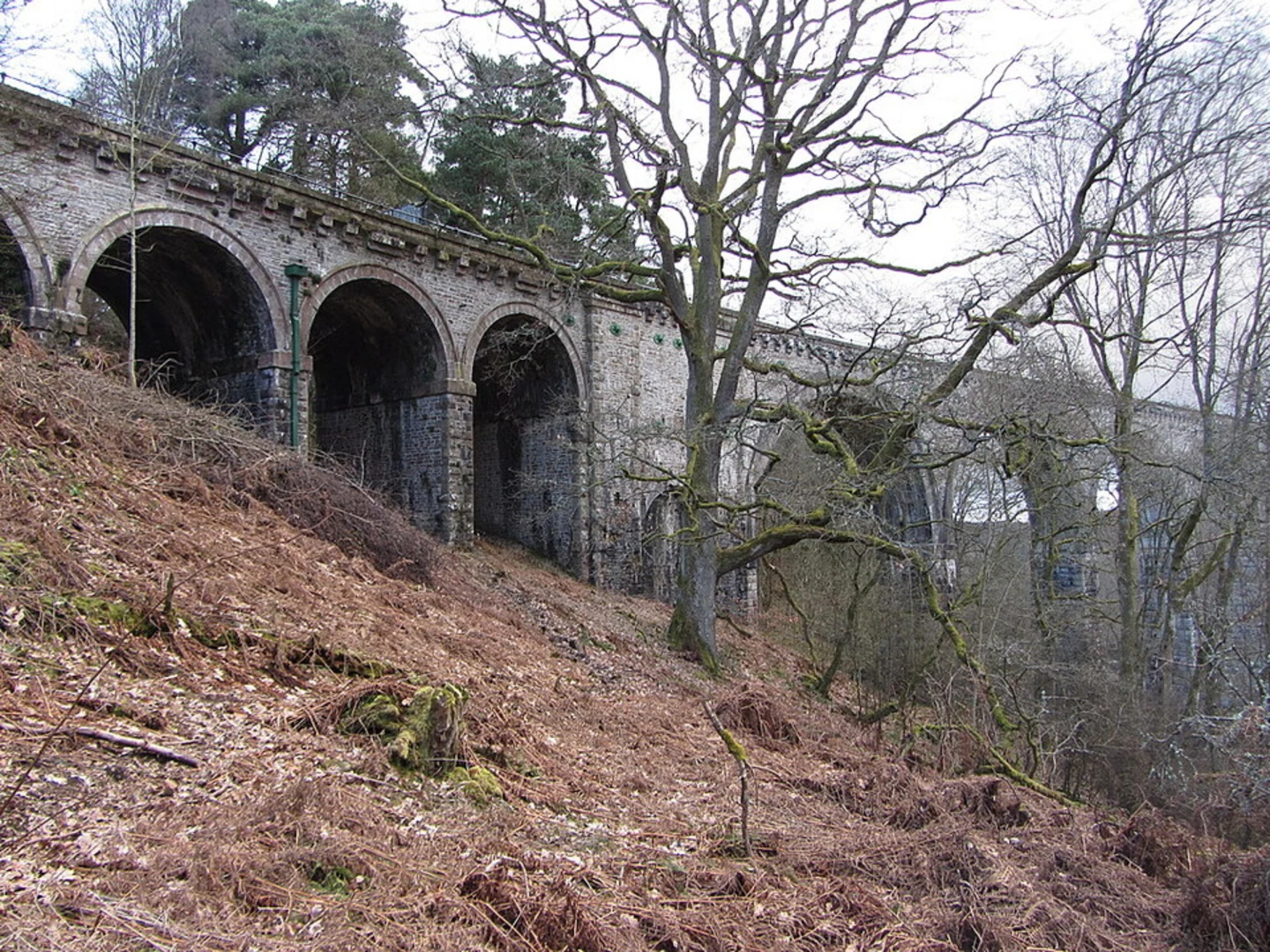 An image depicting the trail Lambley Viaduct and its surrounding area.