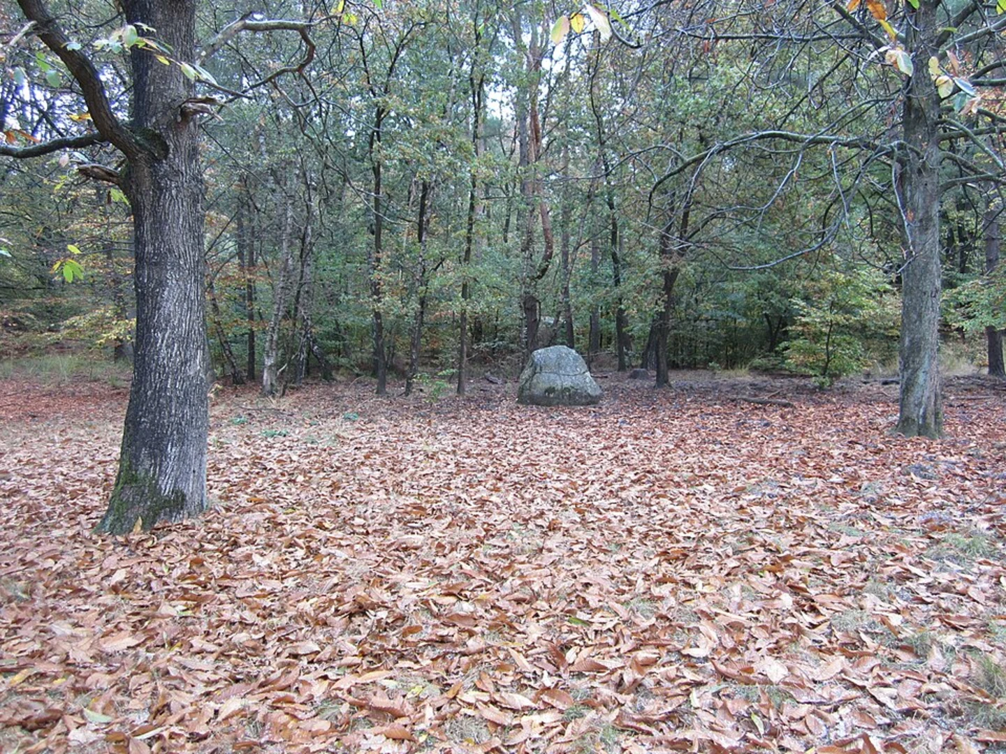 An image depicting the trail Schaaapskooi and Loenense Loop and its surrounding area.