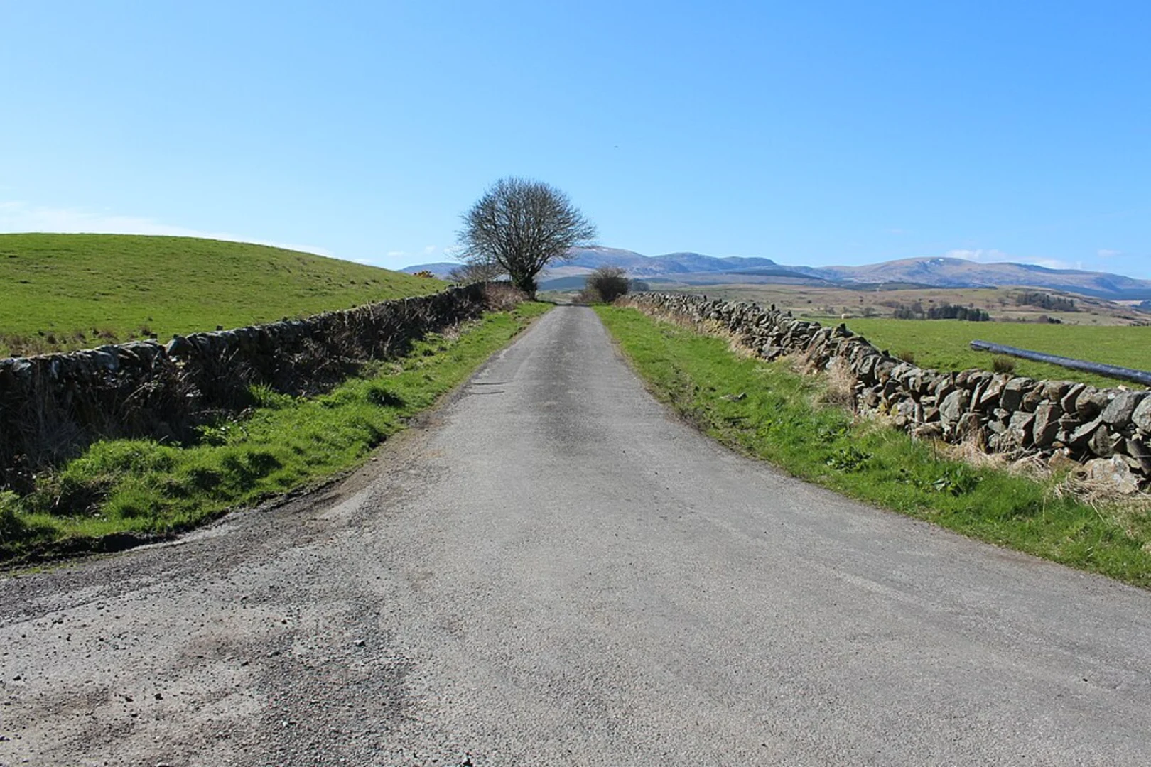 An image depicting the trail Aviemore Orbital Walk and its surrounding area.