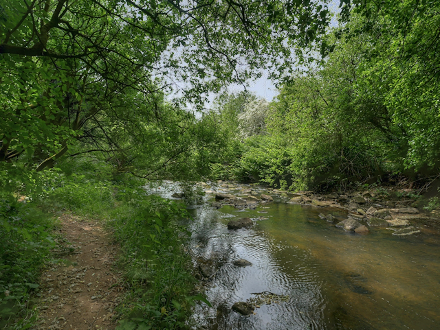 An image depicting the trail Brookdale Park Walk and its surrounding area.