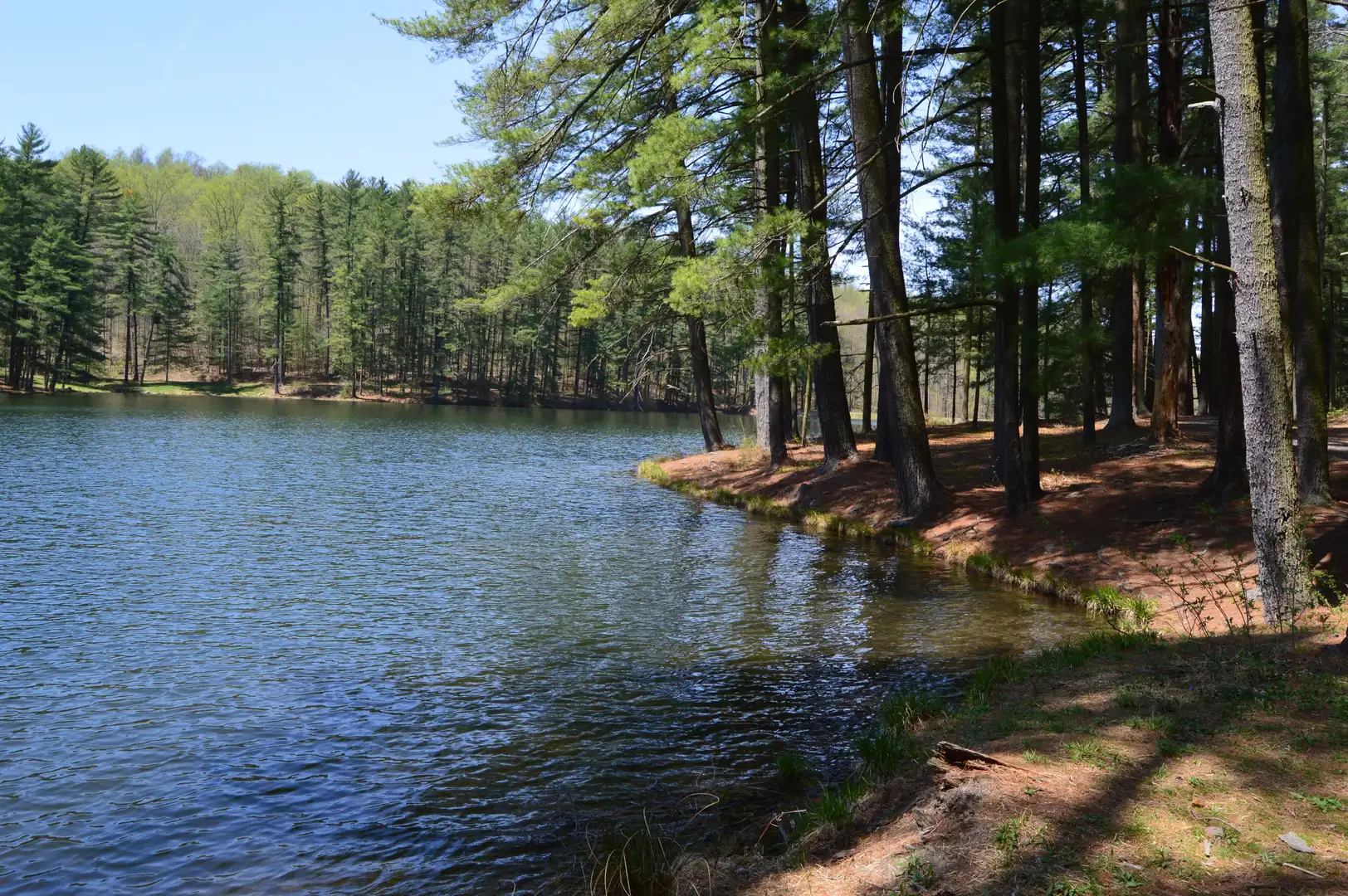 An image depicting the trail Birdsboro Reservoir via Hay Creek Loop and its surrounding area.
