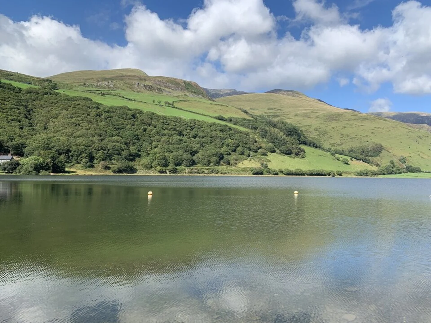 An image depicting the trail Tal-y-llyn Lake Walk and its surrounding area.