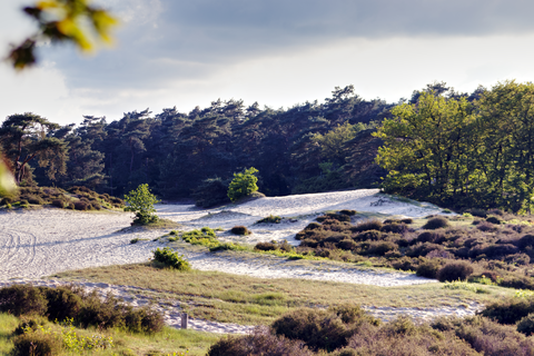 t Zwaantje to Amersfoort Centraal via Lange Duinen and Korte Duinen
