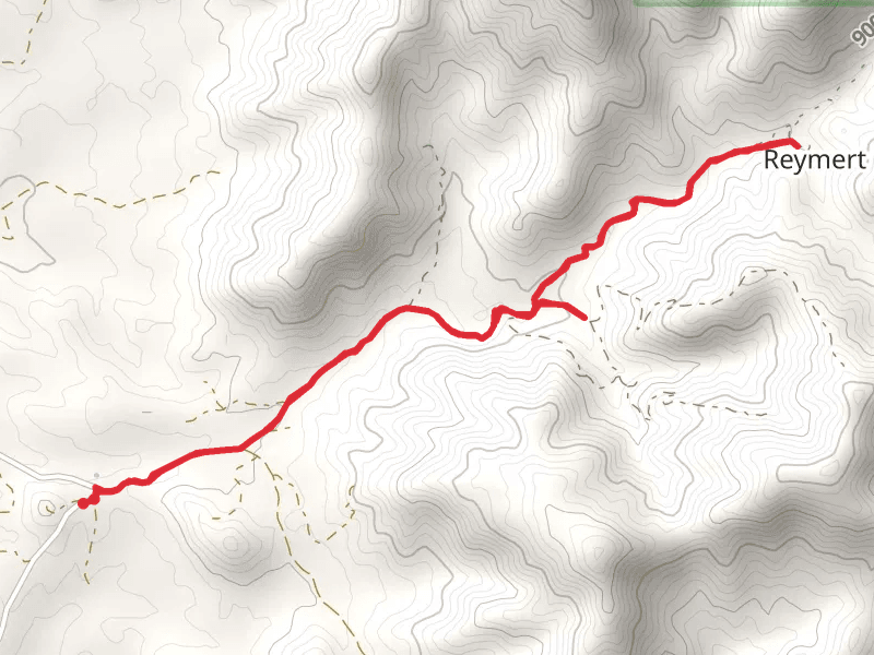 Reymert via N Mineral Mountain Road