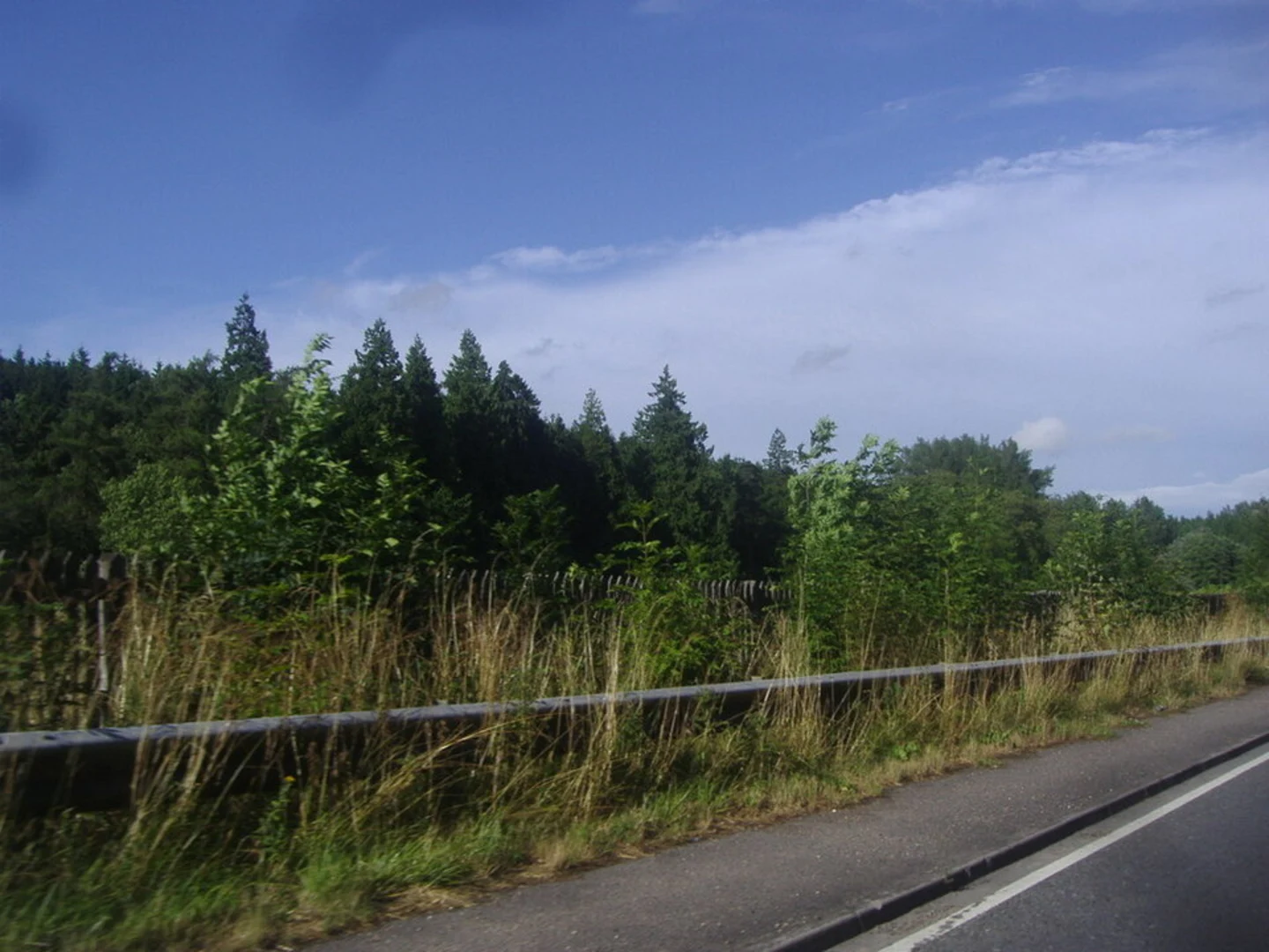 An image depicting the trail Dowdeswell Reservoir Loop and its surrounding area.