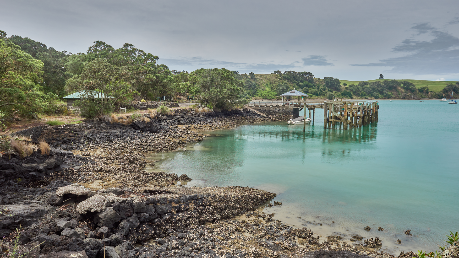 An image depicting the trail Motutapu Walkway - Home Bay to Islington Bay Wharf and its surrounding area.