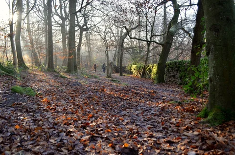 An image depicting the trail Grindleford to Cuber Loop and its surrounding area.