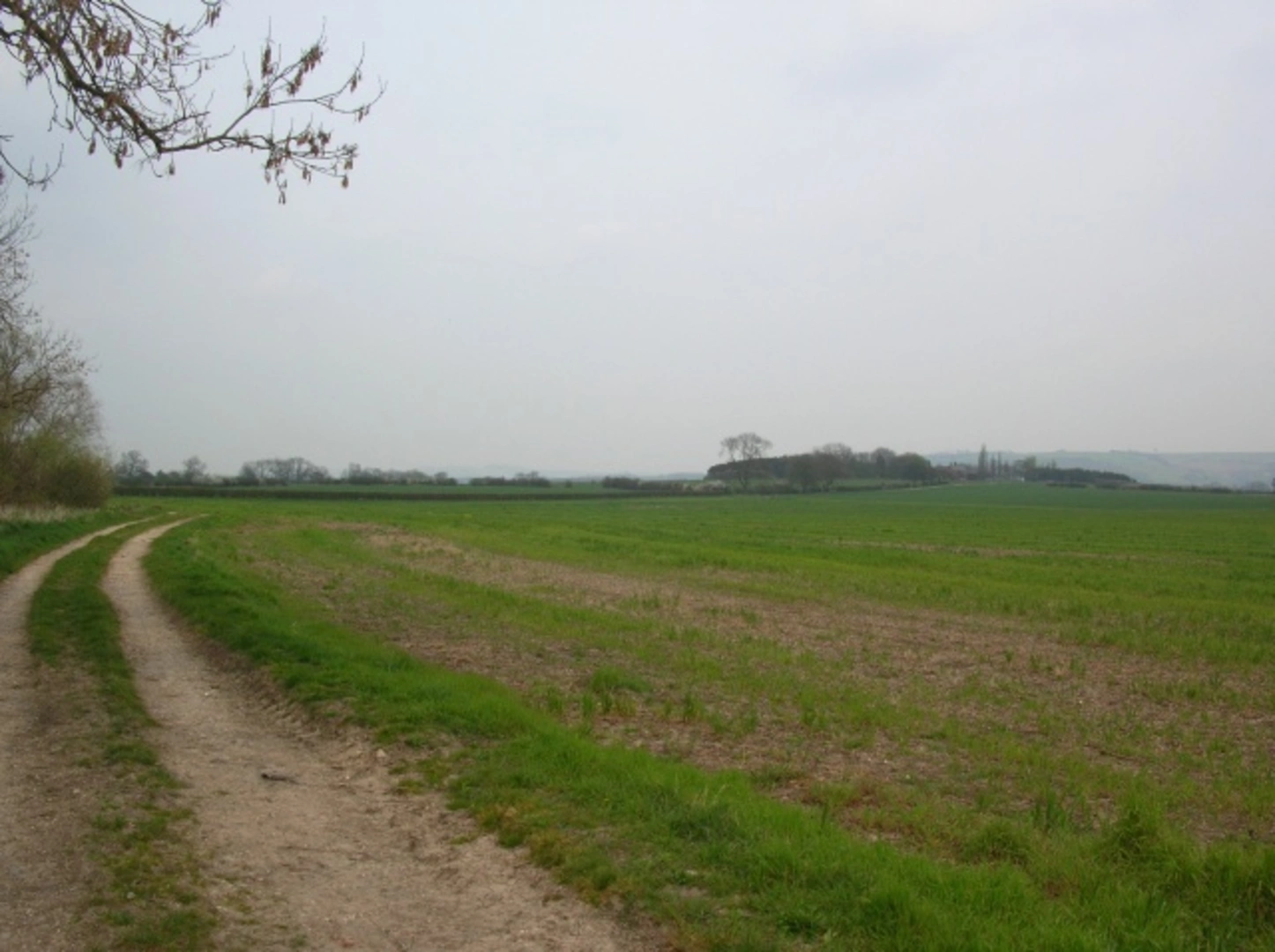 An image depicting the trail Fangfoss and Youlthorpe Loop and its surrounding area.