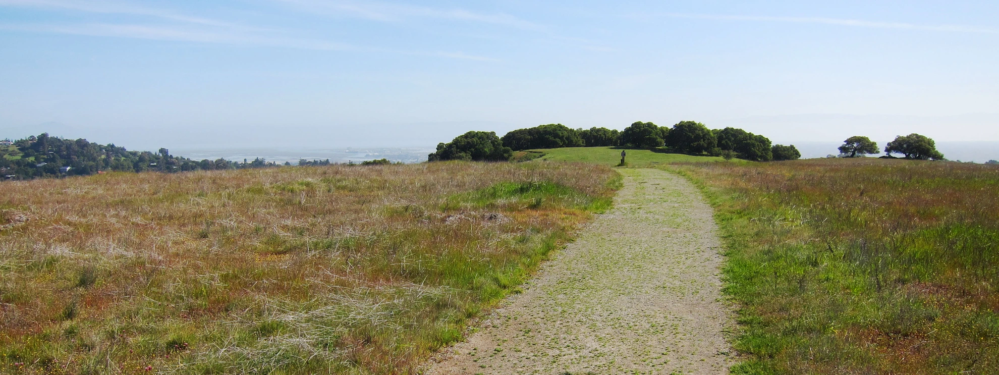 An image depicting the trail Sylvan Trail and Edgewood Loop trail and its surrounding area.