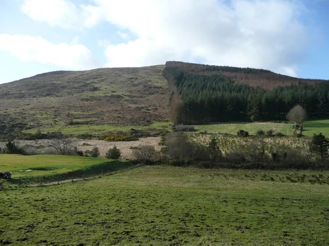 An image depicting the trail Annagh Hill - Turnaround Trail and its surrounding area.