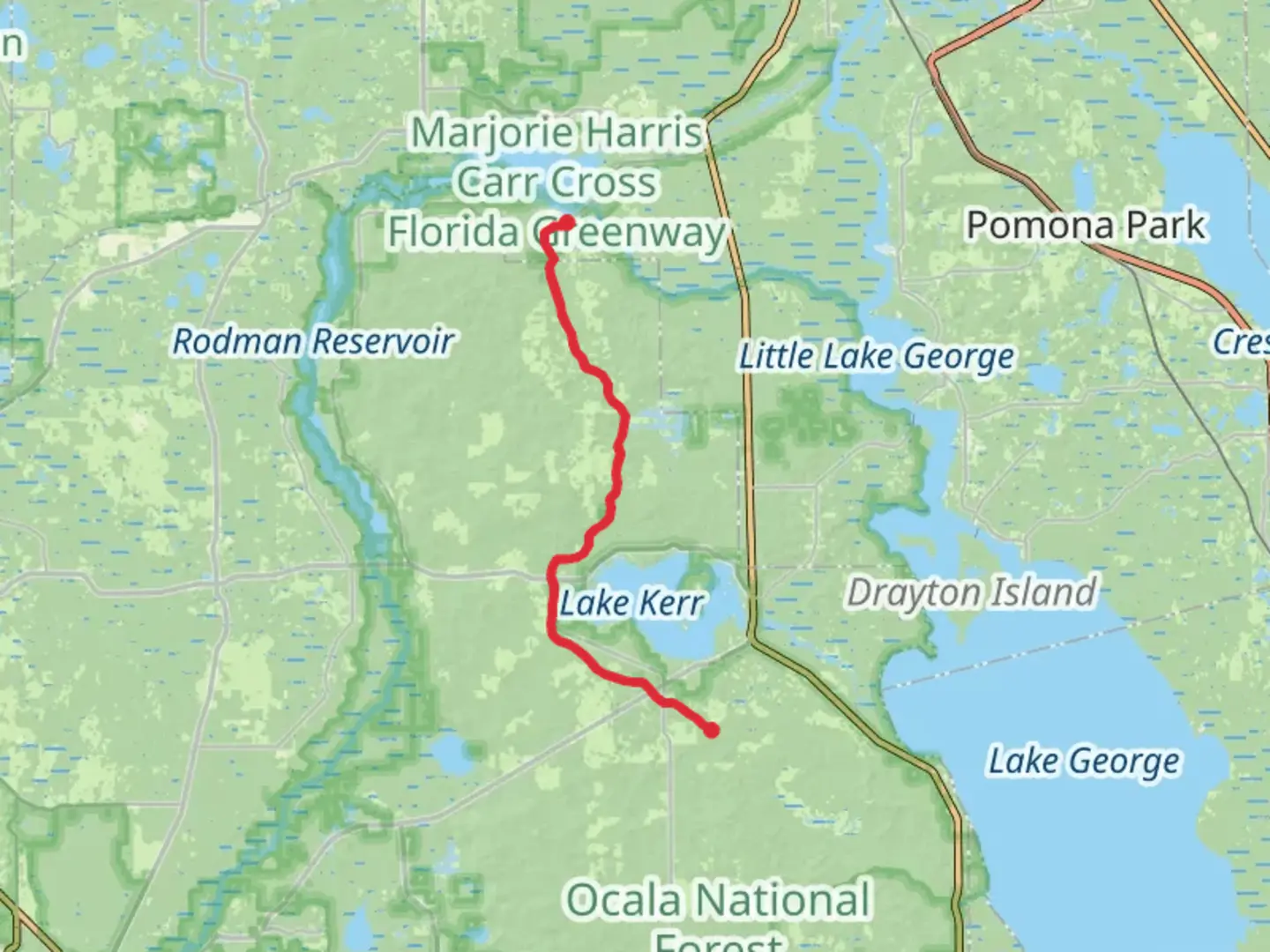 An image depicting the trail Florida Trail from F R 50 and its surrounding area.