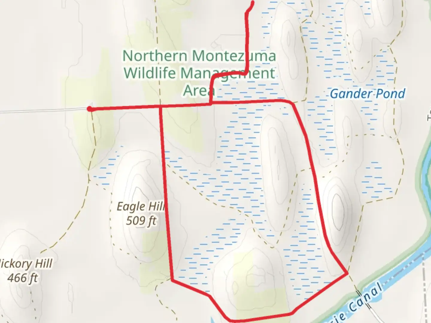 An image depicting the trail Eagle Hill Loop and its surrounding area.